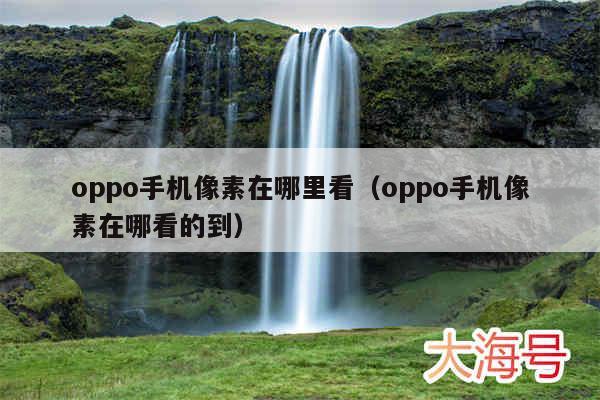 oppo手机像素在哪里看（oppo手机像素在哪看的到）