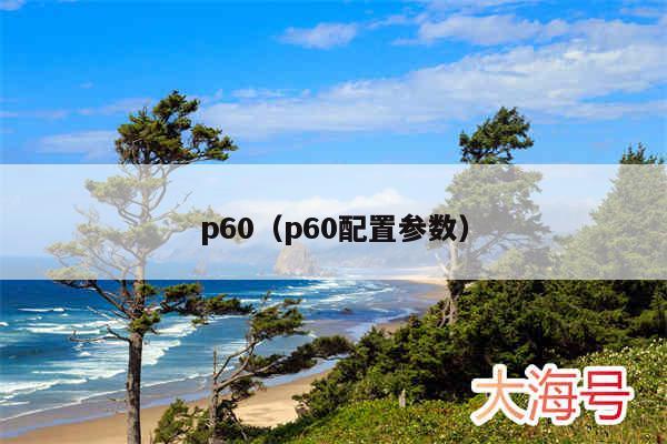 p60（p60配置参数）