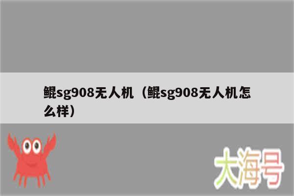 鲲sg908无人机（鲲sg908无人机怎么样）