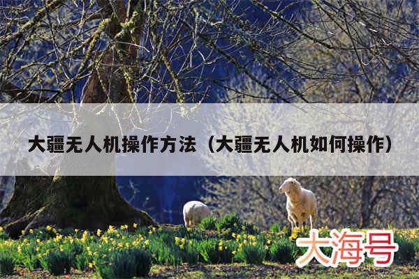 大疆无人机操作方法（大疆无人机如何操作）
