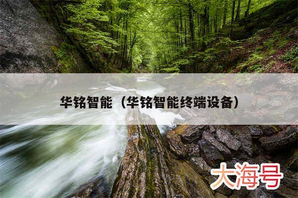 华铭智能（华铭智能终端设备）