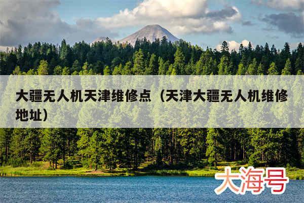 大疆无人机天津维修点（天津大疆无人机维修地址）