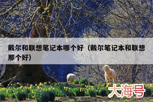 戴尔和联想笔记本哪个好（戴尔笔记本和联想那个好）