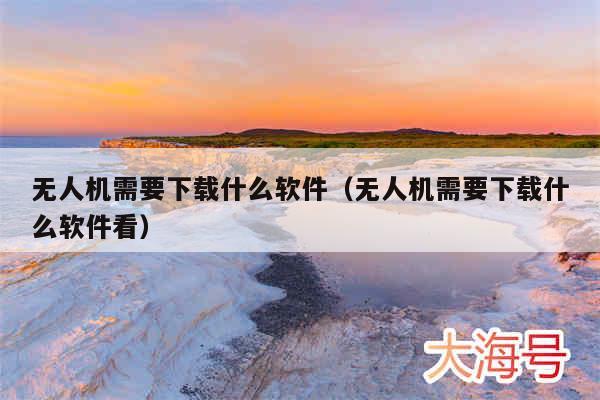 无人机需要下载什么软件（无人机需要下载什么软件看）