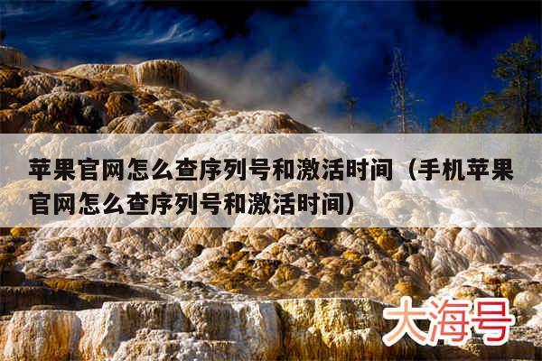 苹果官网怎么查序列号和激活时间（手机苹果官网怎么查序列号和激活时间）