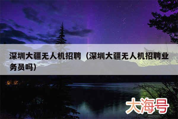 深圳大疆无人机招聘（深圳大疆无人机招聘业务员吗）