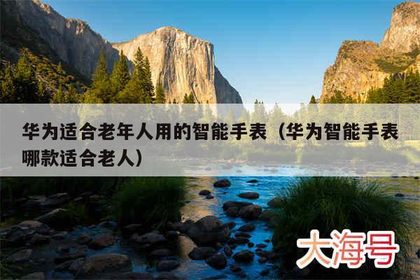 华为适合老年人用的智能手表（华为智能手表哪款适合老人）
