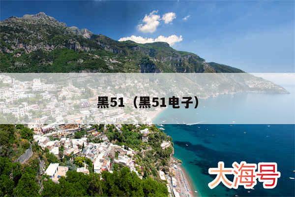 黑51（黑51电子）