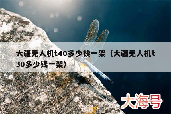 大疆无人机t40多少钱一架（大疆无人机t30多少钱一架）
