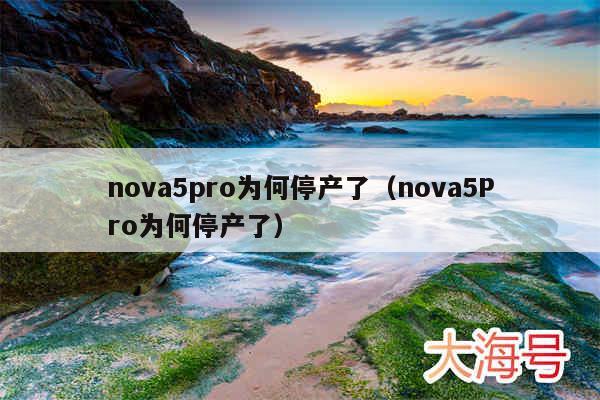 nova5pro为何停产了（nova5Pro为何停产了）