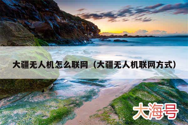 大疆无人机怎么联网（大疆无人机联网方式）