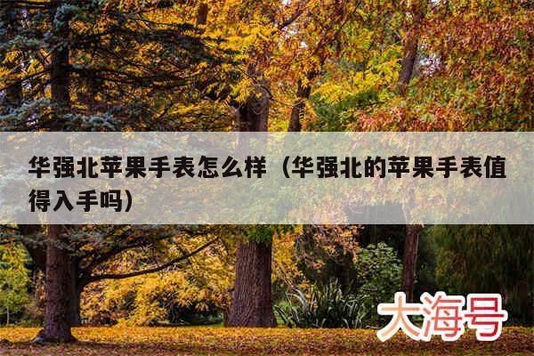 华强北苹果手表怎么样（华强北的苹果手表值得入手吗）