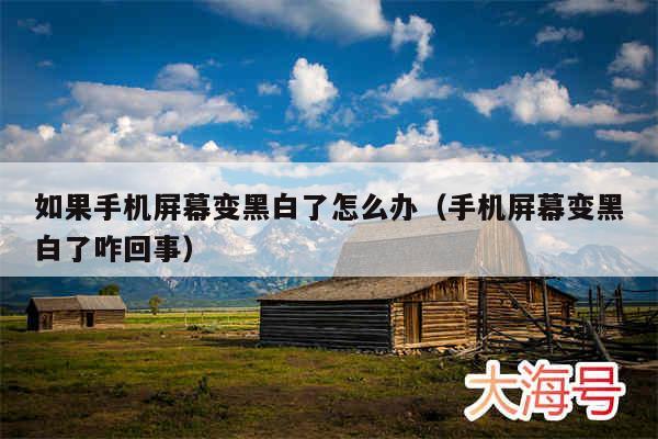 如果手机屏幕变黑白了怎么办（手机屏幕变黑白了咋回事）