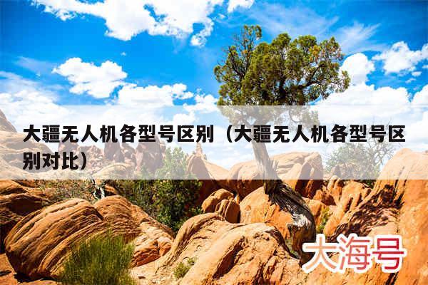 大疆无人机各型号区别（大疆无人机各型号区别对比）
