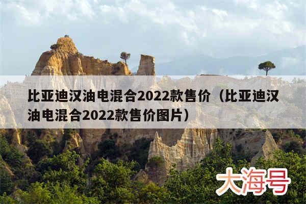 比亚迪汉油电混合2022款售价（比亚迪汉油电混合2022款售价图片）