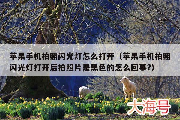 苹果手机拍照闪光灯怎么打开（苹果手机拍照闪光灯打开后拍照片是黑色的怎么回事?）