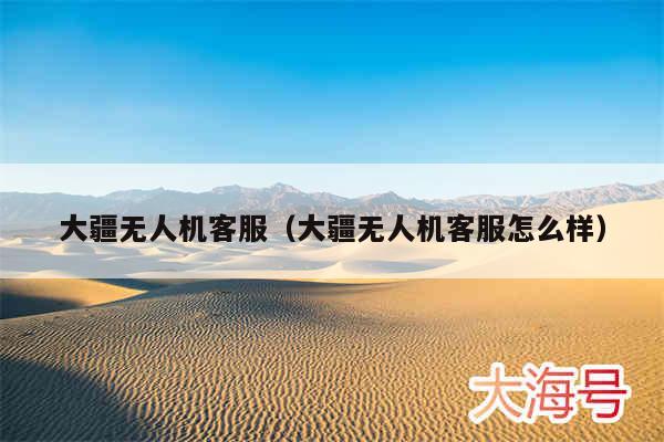 大疆无人机客服（大疆无人机客服怎么样）
