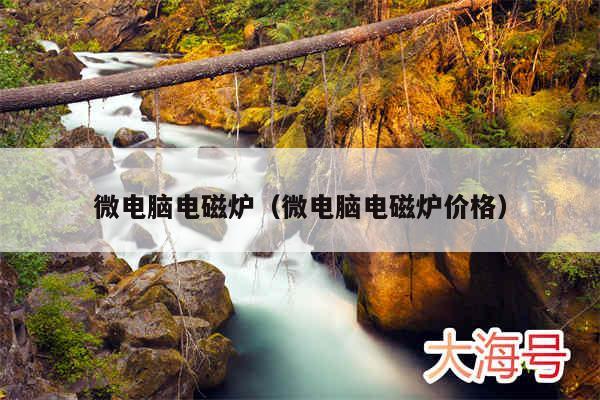 微电脑电磁炉（微电脑电磁炉价格）
