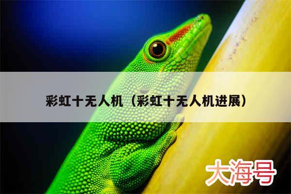 彩虹十无人机（彩虹十无人机进展）