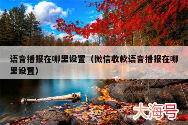 语音播报在哪里设置（微信收款语音播报在哪里设置）