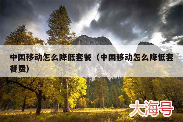 中国移动怎么降低套餐（中国移动怎么降低套餐费）