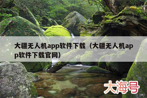 大疆无人机app软件下载（大疆无人机app软件下载官网）