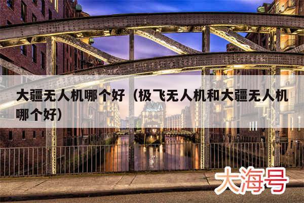 大疆无人机哪个好（极飞无人机和大疆无人机哪个好）