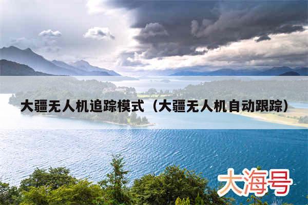 大疆无人机追踪模式（大疆无人机自动跟踪）