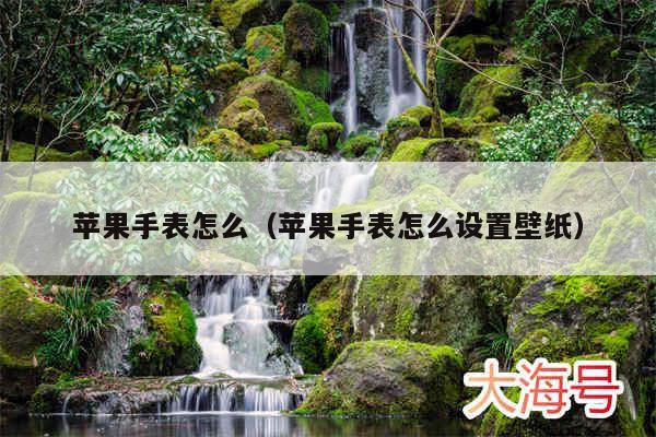 苹果手表怎么（苹果手表怎么设置壁纸）