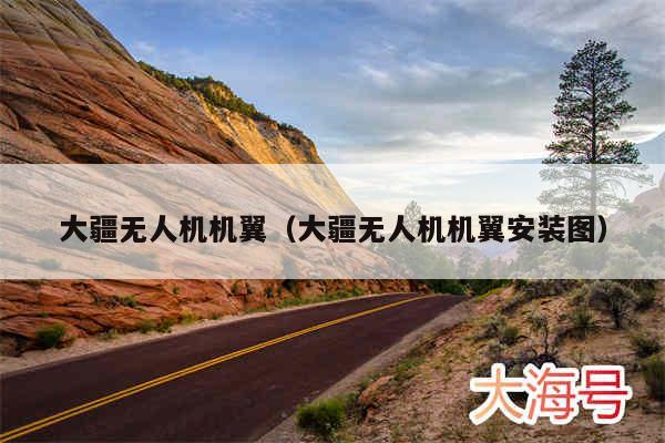 大疆无人机机翼（大疆无人机机翼安装图）