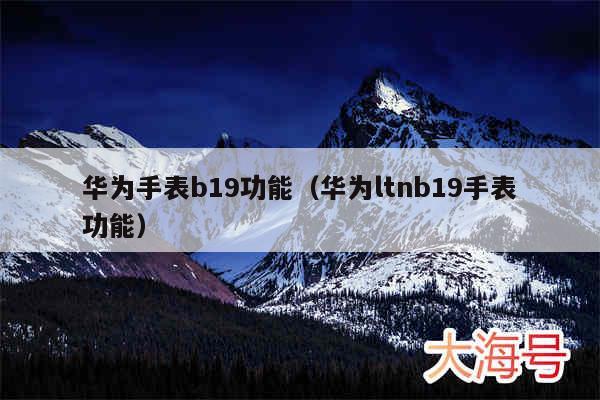 华为手表b19功能（华为ltnb19手表功能）