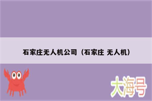 石家庄无人机公司（石家庄 无人机）