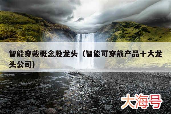 智能穿戴概念股龙头（智能可穿戴产品十大龙头公司）