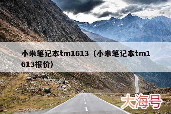 小米笔记本tm1613（小米笔记本tm1613报价）