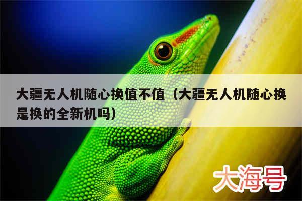 大疆无人机随心换值不值（大疆无人机随心换是换的全新机吗）