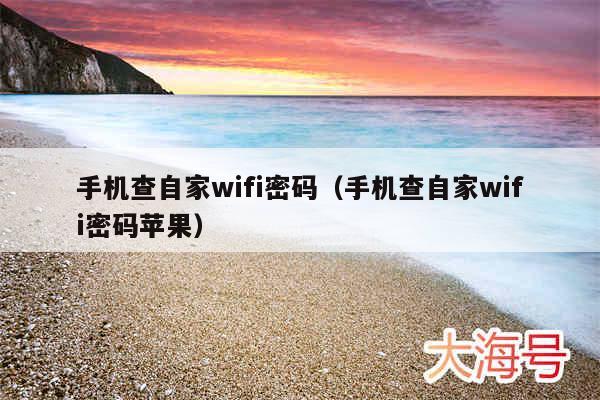 手机查自家wifi密码（手机查自家wifi密码苹果）