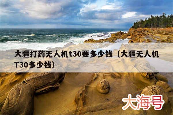 大疆打药无人机t30要多少钱（大疆无人机T30多少钱）