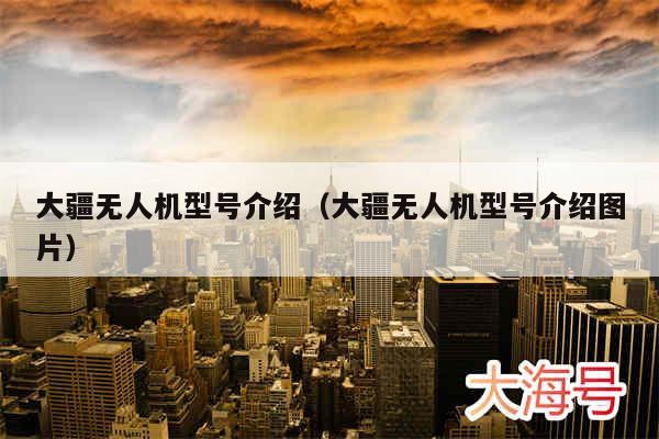 大疆无人机型号介绍（大疆无人机型号介绍图片）