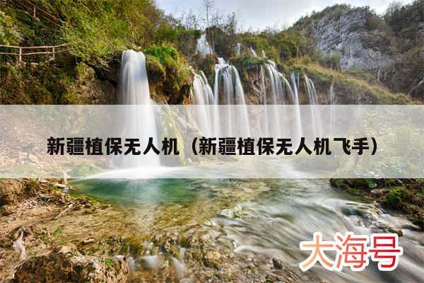 新疆植保无人机（新疆植保无人机飞手）