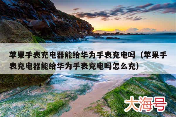 苹果手表充电器能给华为手表充电吗（苹果手表充电器能给华为手表充电吗怎么充）