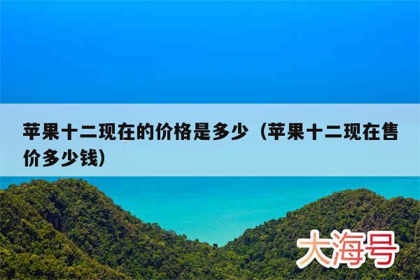 苹果十二现在的价格是多少（苹果十二现在售价多少钱）