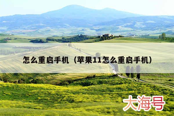 怎么重启手机（苹果11怎么重启手机）