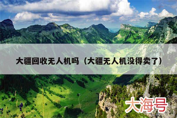 大疆回收无人机吗（大疆无人机没得卖了）