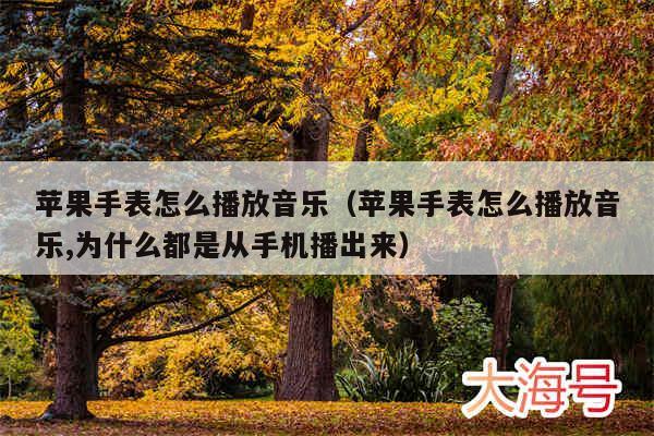 苹果手表怎么播放音乐（苹果手表怎么播放音乐,为什么都是从手机播出来）