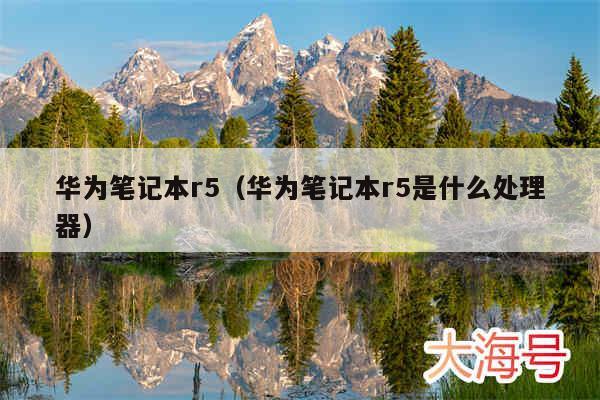 华为笔记本r5（华为笔记本r5是什么处理器）