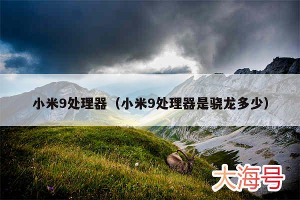 小米9处理器（小米9处理器是骁龙多少）