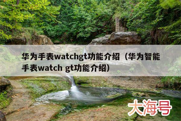 华为手表watchgt功能介绍（华为智能手表watch gt功能介绍）