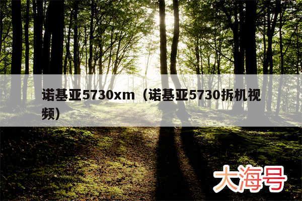 诺基亚5730xm（诺基亚5730拆机视频）