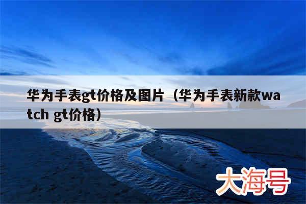 华为手表gt价格及图片（华为手表新款watch gt价格）