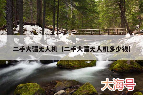 二手大疆无人机（二手大疆无人机多少钱）